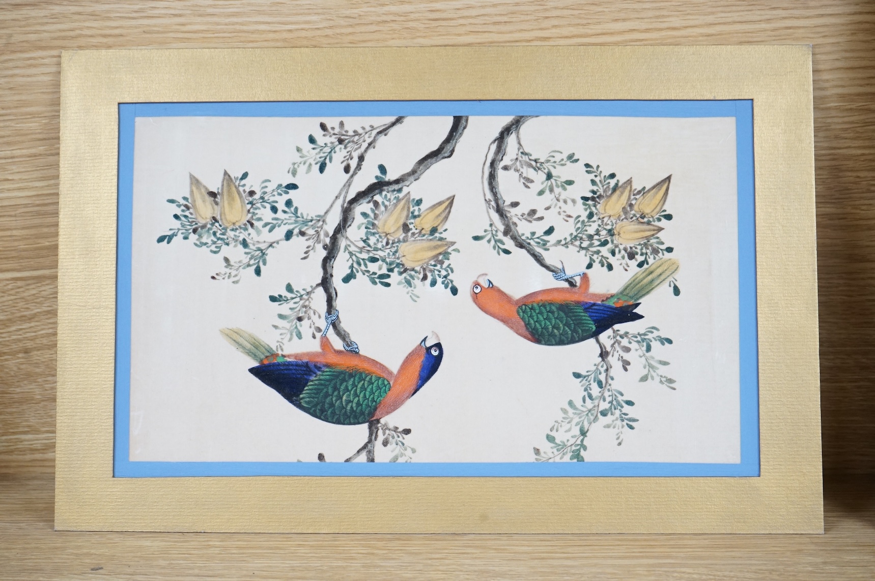 Chinese School, Birds of paradise, pair of pith paper paintings, 17 x 31cm, mounted but unframed
